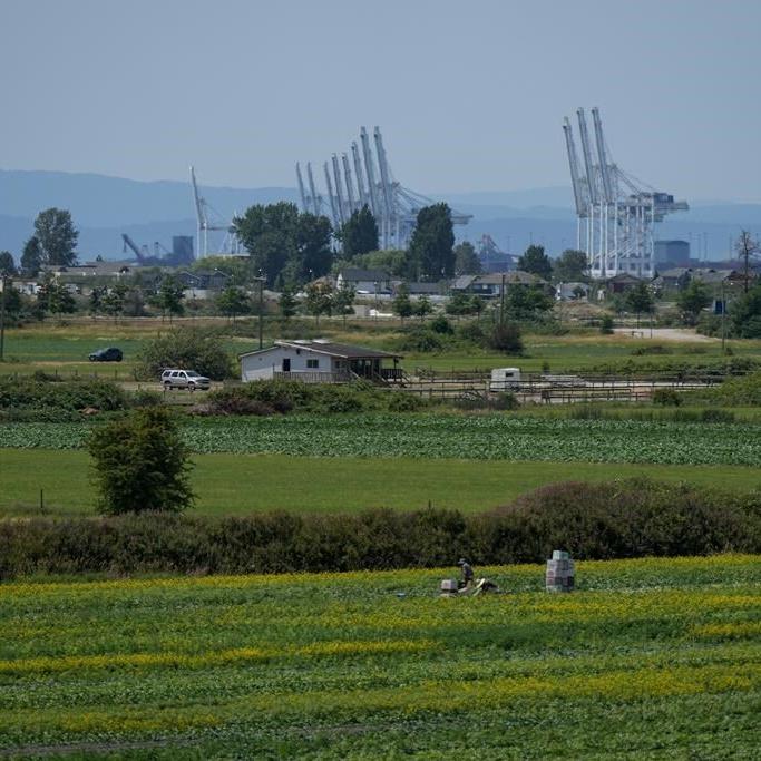 B.C.'s agriculture industry at forefront of climate change reality